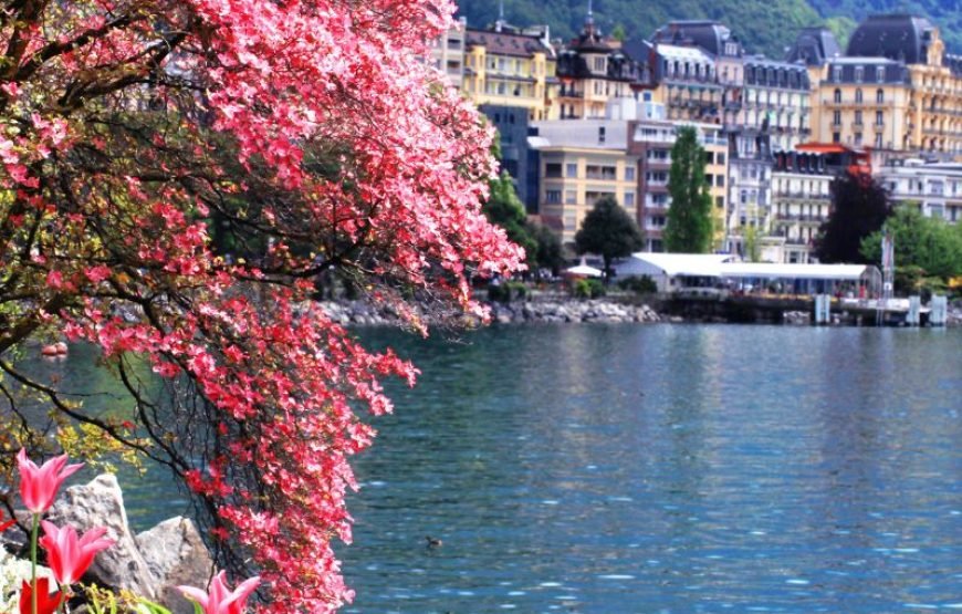 Circuit Genève – 3+ Jours