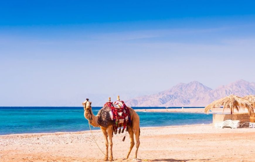 Circuit Egypte CAIRE – HURGHADA 10 Nuits / 11 Jours