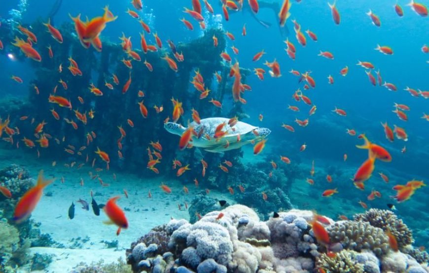 Circuit Egypte CAIRE – HURGHADA 10 Nuits / 11 Jours